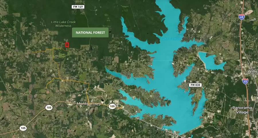 23848 Bailey Grove Rd, Montgomery, TX 77356 - #3