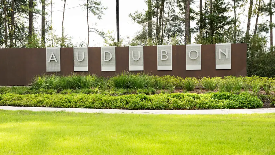 475 Audubons Shearwater Way, Magnolia, TX 77354 - Image #3