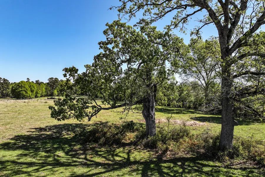 139.82 Acres State Highway 21 E, Crockett, TX 75835 - #3