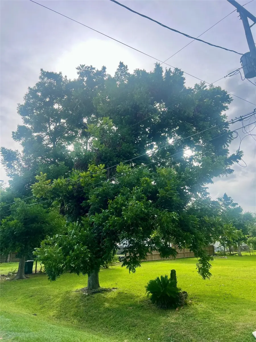 909 Cedar Drive, La Marque, TX 77568 - Image #2