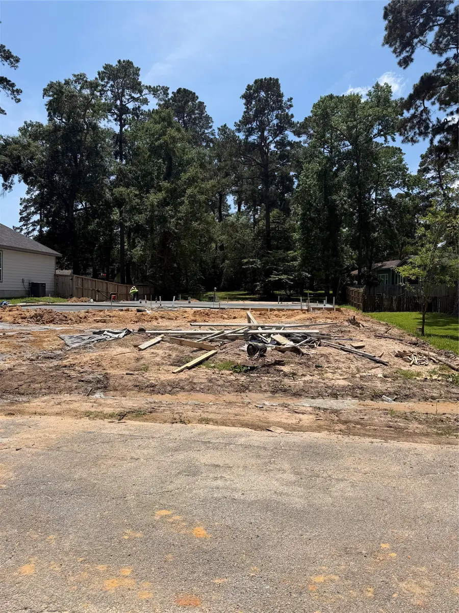 14209 Jamaica Circle, Willis, TX 77318 - #3