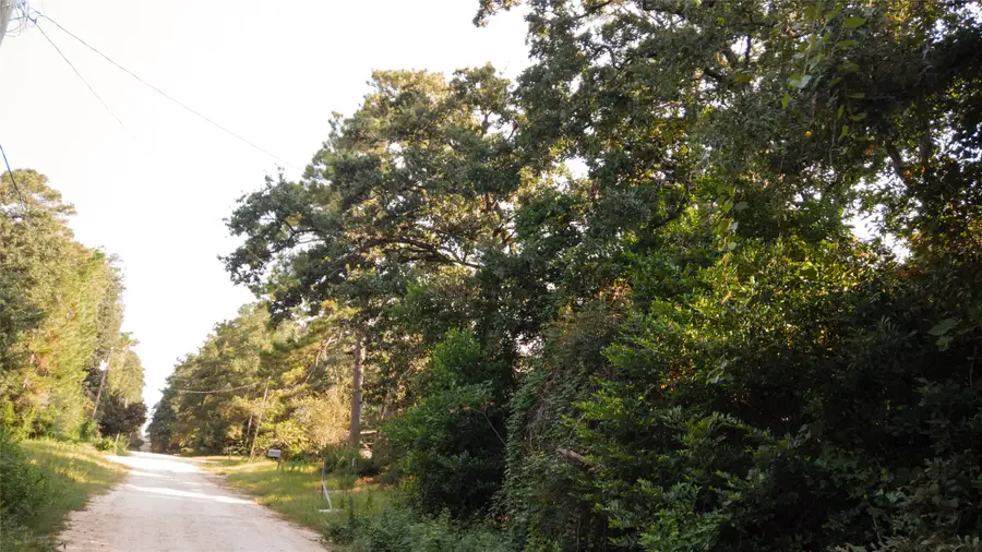 TBD Lancelot Drive, Ivanhoe, TX 75979 - Image #2