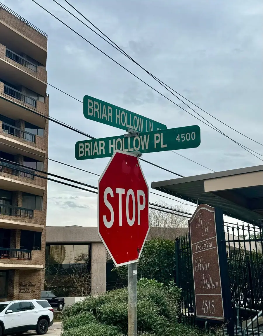 4515 Briar Hollow Place #305, Houston, TX 77027 - #2