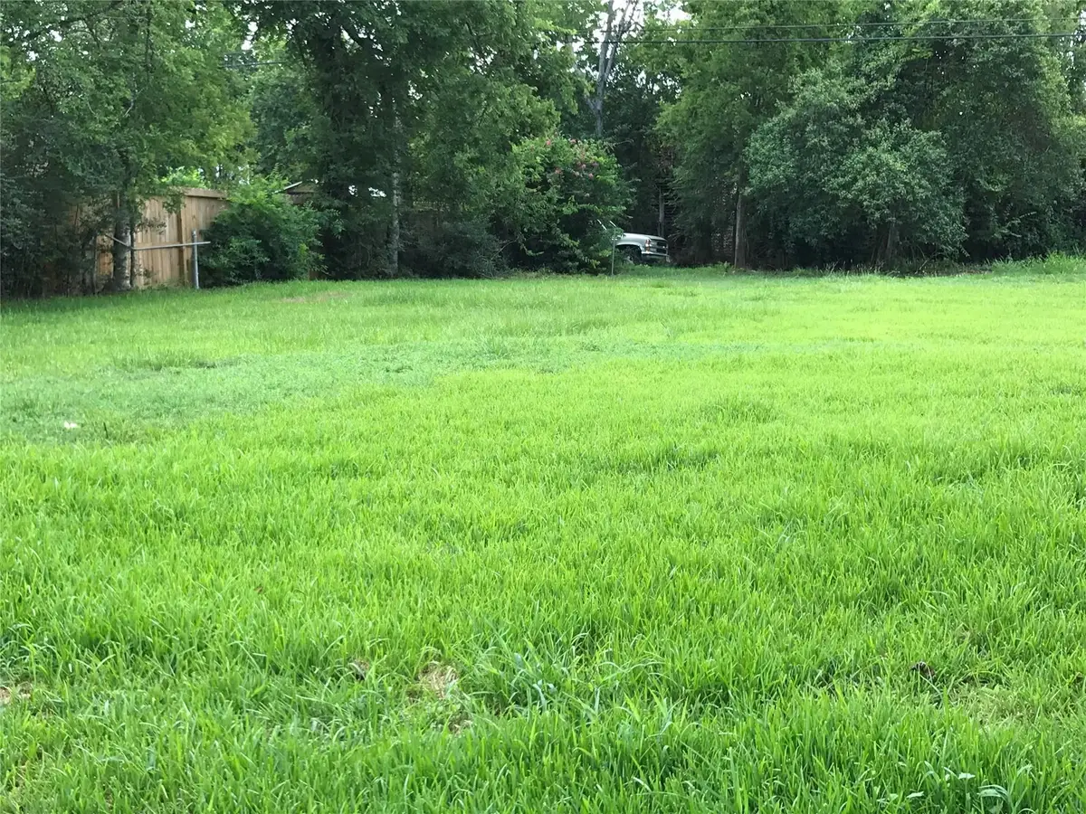 6219 Sherwood Drive, Houston, TX 77021 - #1