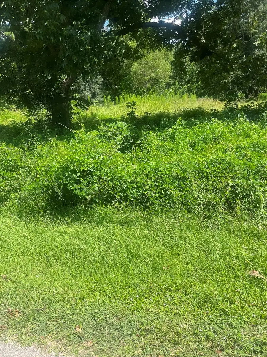 1001 Avenue E, Conroe, TX 77301 - Image #3