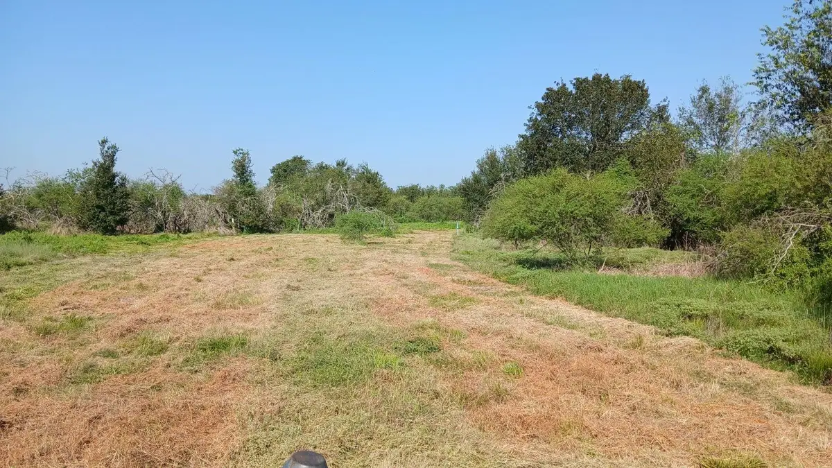 40485 Mt Zion Road, Brookshire, TX 77423 - Image #1