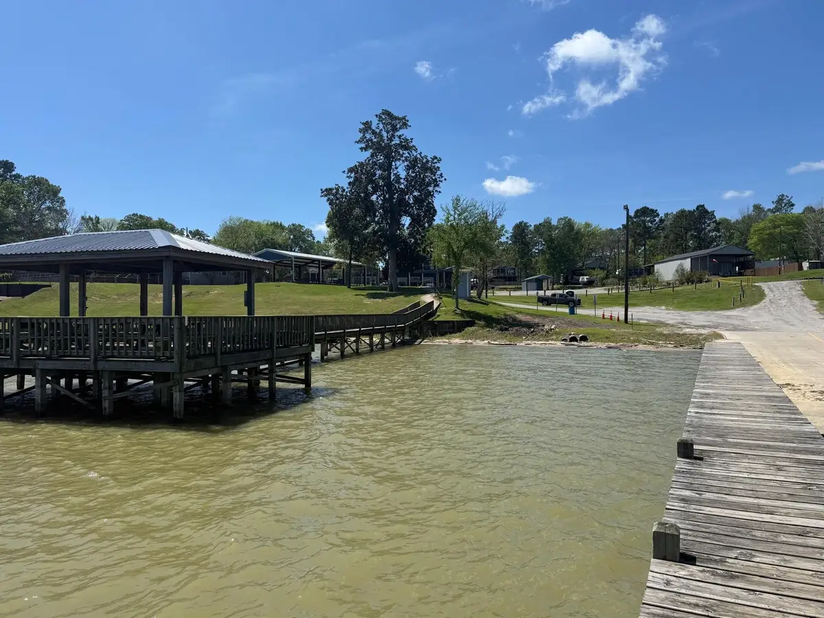 230 E Woodland Shores Drive, Point Blank, TX 77364 - #1