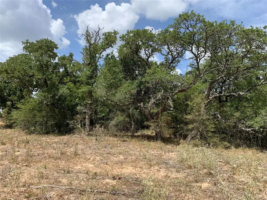 TBD Private Road 1581, Hallettsville, TX 77964 - Image #2