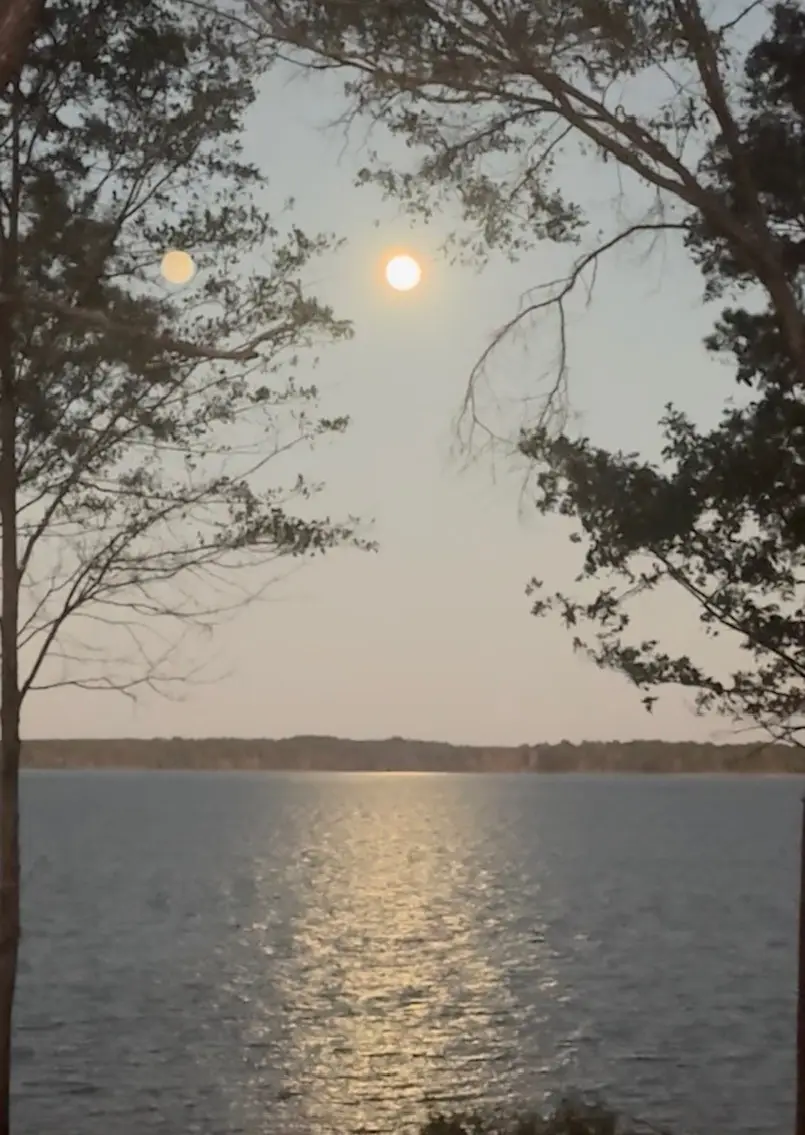 1329 County Road 8556, Broaddus, TX 75929 - Image #3