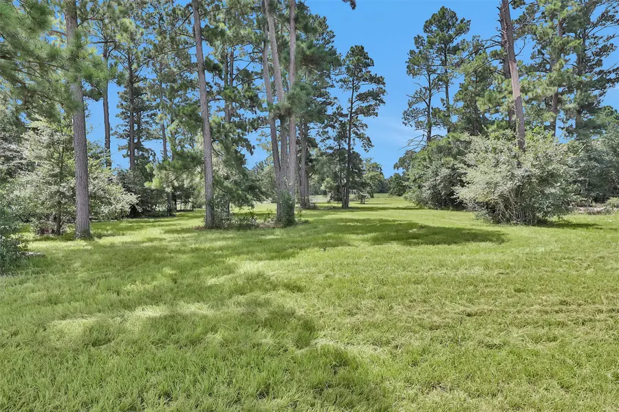 15487 County Road 228, Bedias, TX 77831 - Image #2