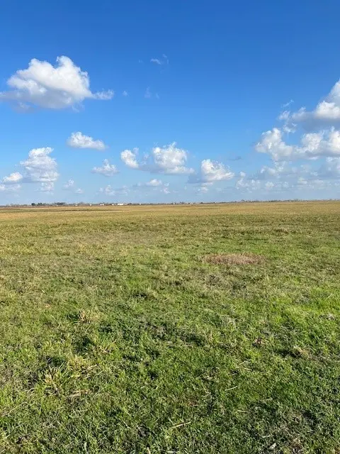 11401 Fm 1994, Guy, TX 77444