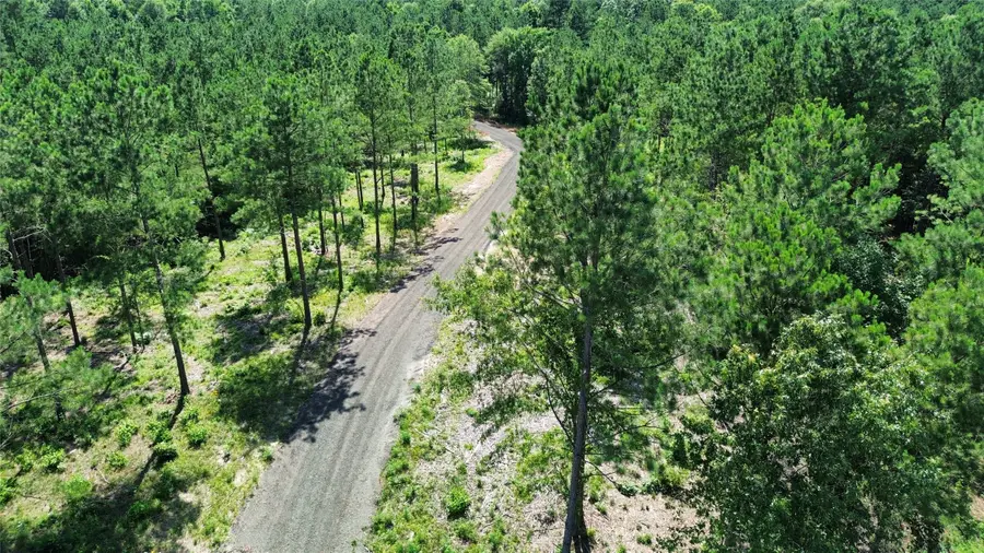 142 County Road 4872, Timpson, TX 75975 - #2