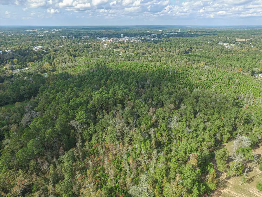 TBD S Houston Street, Livingston, TX 77351 - Image #3