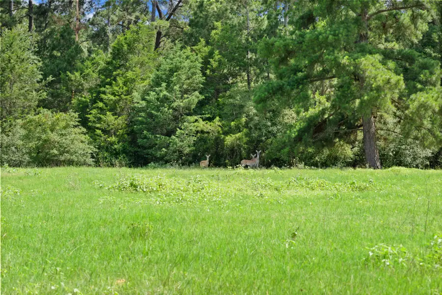 TBD (Tracts 11 & 12) St Delight Road, Paige, TX 78659 - Image #2