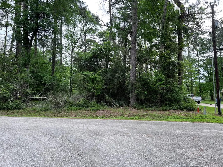 00 Tiki Trail, Livingston, TX 77351 - #3