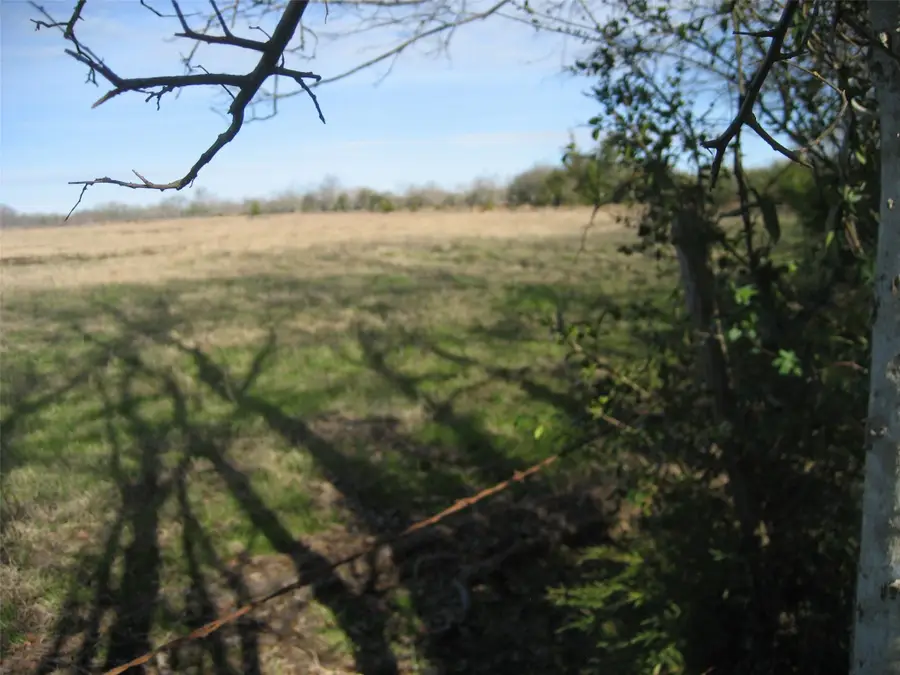 381 County Road 3057, Crockett, TX 75835 - Image #3