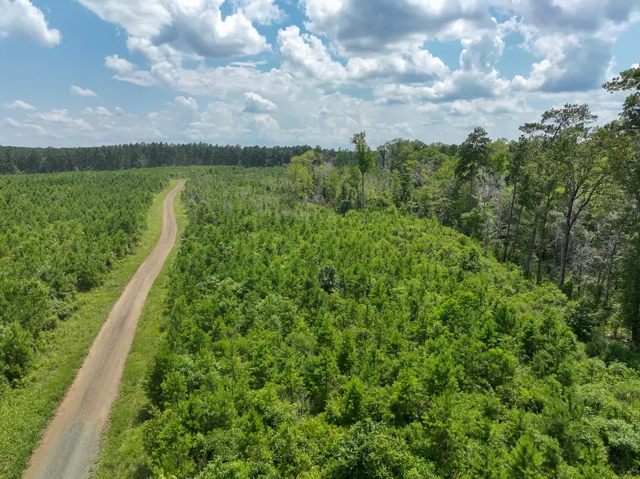 01 Coussons Drive, Hemphill, TX 75948 - Image #3