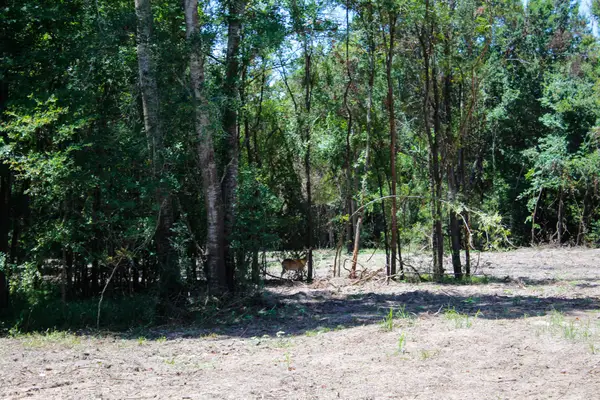 1.5+/- Acres Greenbriar Road, Madisonville, TX 77864