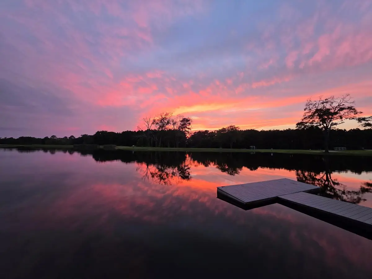 16302 Golden Wood Court, Willis, TX 77378 - Image #1