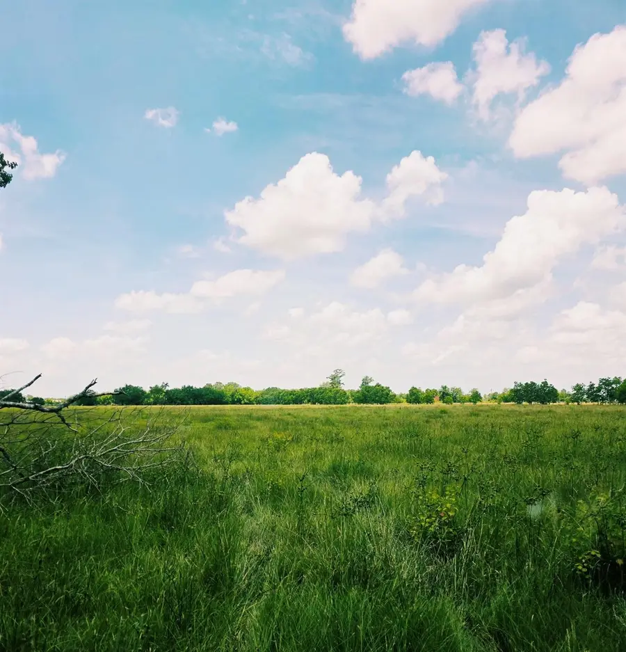 0 Tbd County Road 6026, Dayton, TX 77535 - #2