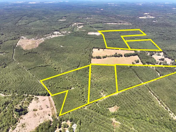 13 Joskey Dykes Rd, Zavalla, TX 75980