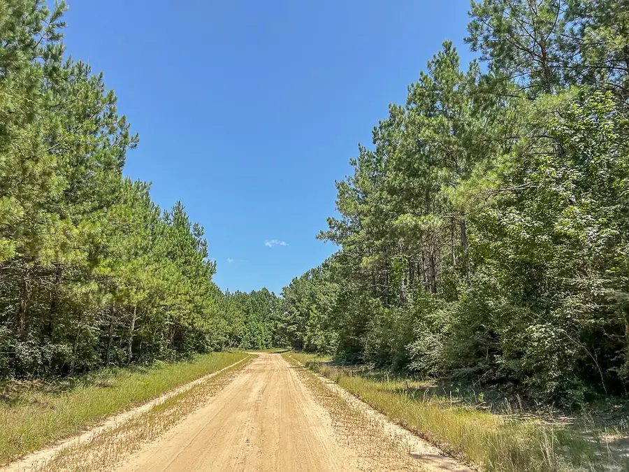 16 Joskey Dykes Rd, Zavalla, TX 75980 - Image #2