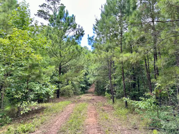 00 Cr 2065, Crockett, TX 75835