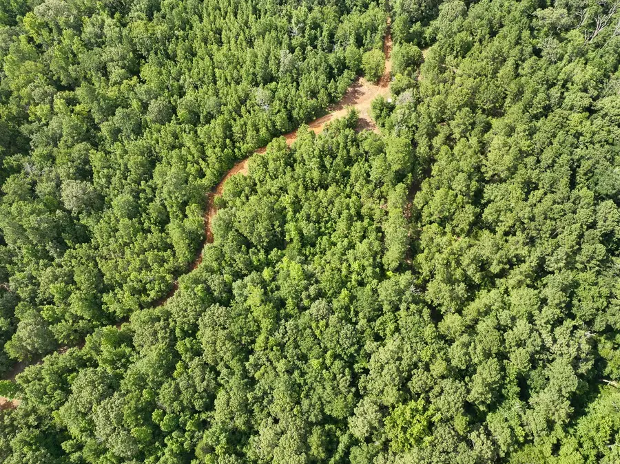 00 Cr 2065, Crockett, TX 75835 - #2