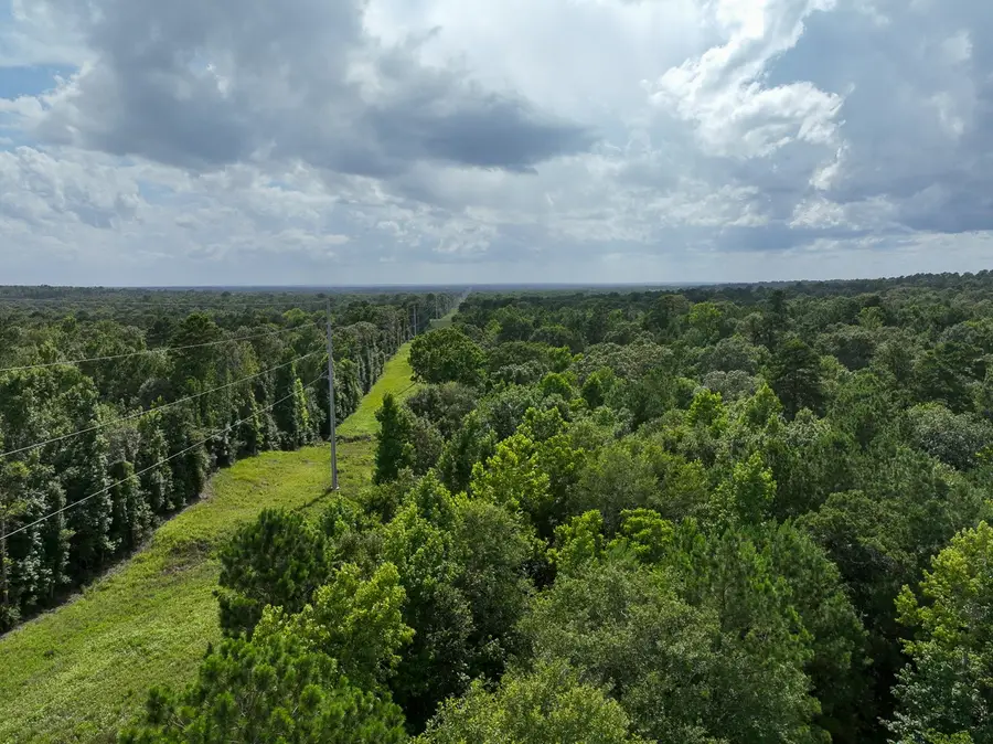 00 Cr 2065, Crockett, TX 75835 - #3