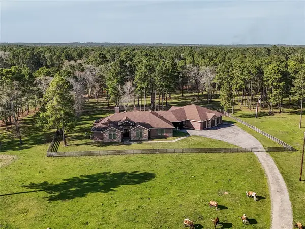 26250 Riley Road, Waller, TX 77484