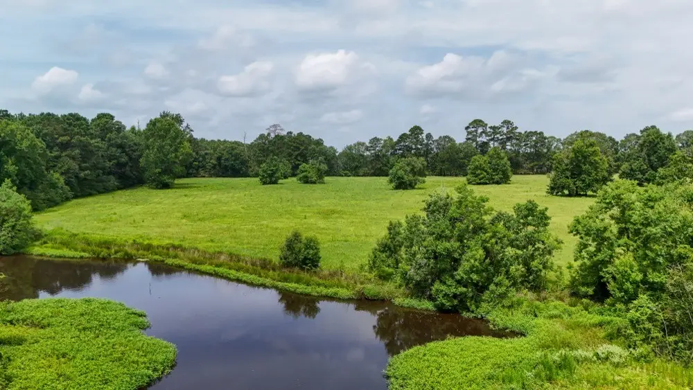 0004 County Road 2780, Woodville, TX 75979 - #1