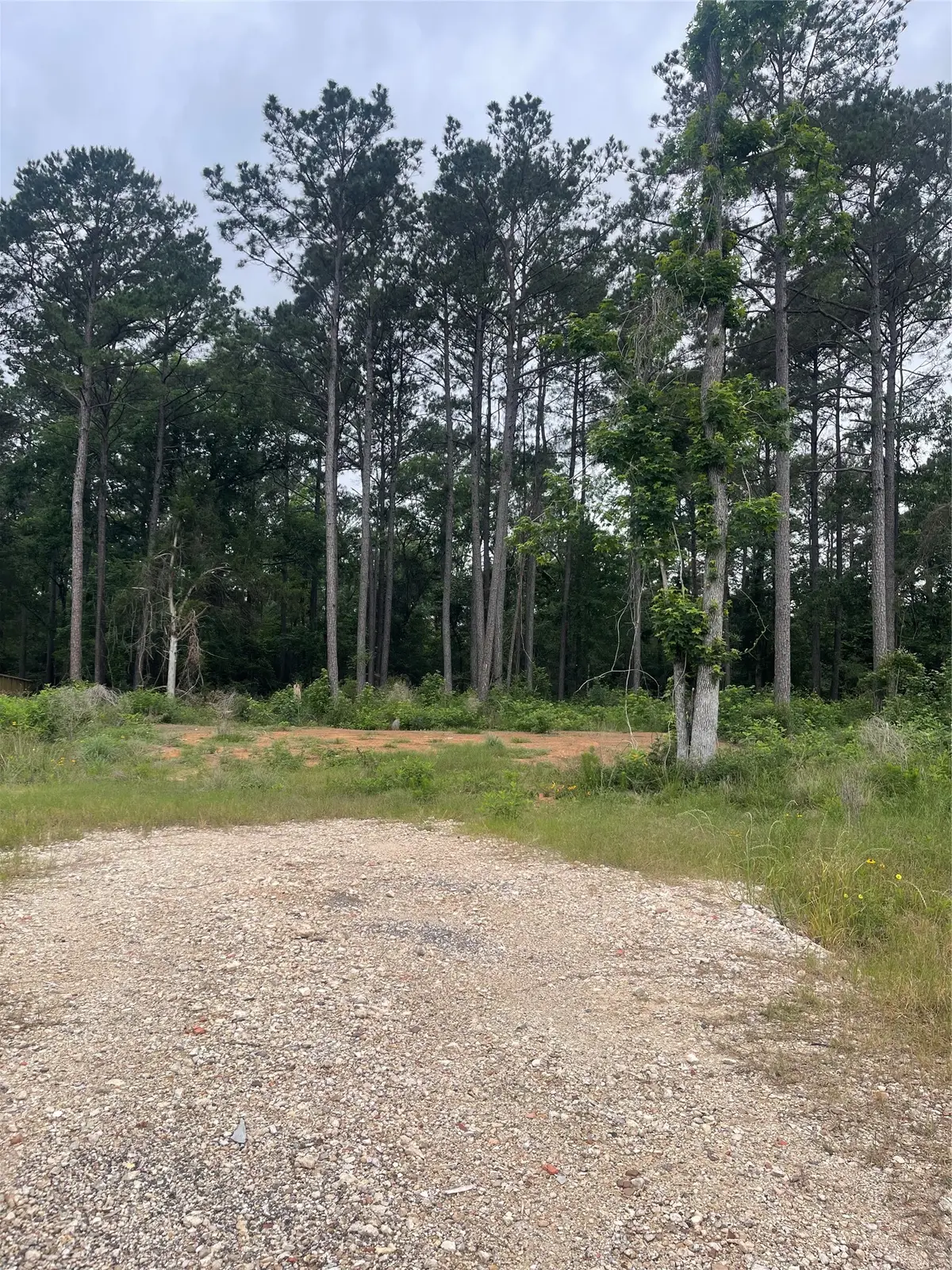11338 Annie Creek Drive, Willis, TX 77378 - #1