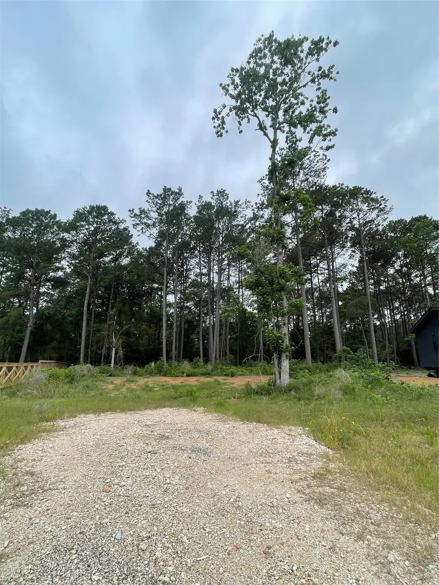 11338 Annie Creek Drive, Willis, TX 77378 - #2