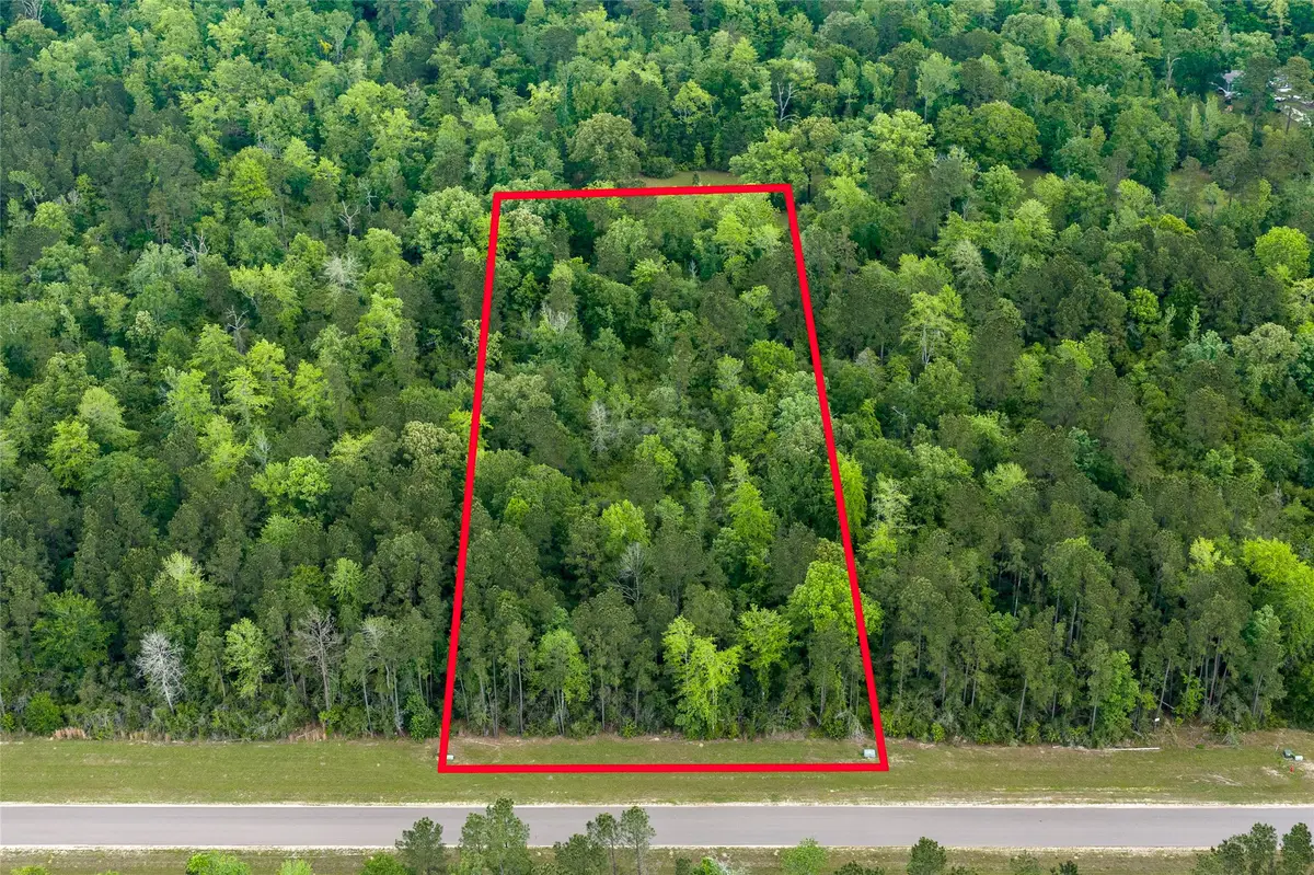 10627 Ruger Road, Willis, TX 77378 - #1