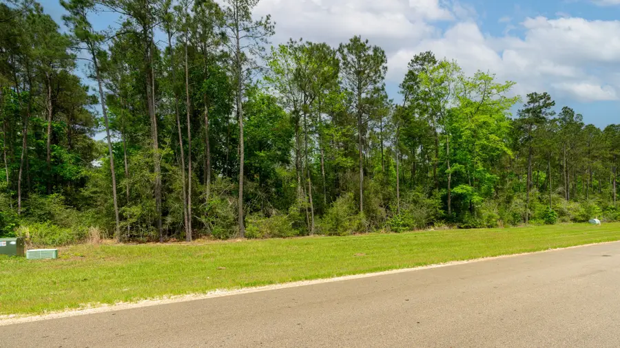 10627 Ruger Road, Willis, TX 77378 - #2