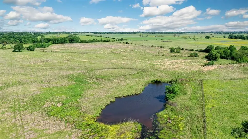 276 AC Fm 977, Leona, TX 77871 - #1