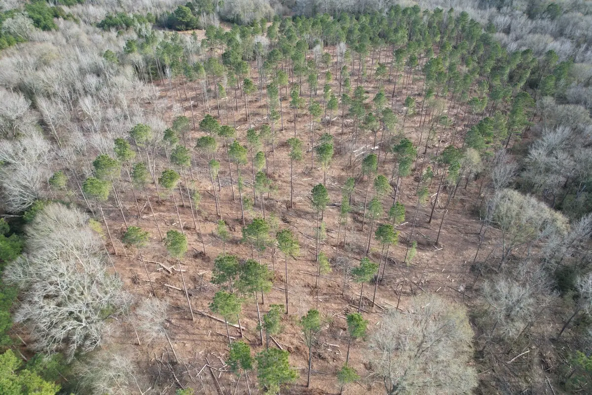 Tract B County Road 4037, Timpson, TX 75975 - Image #1