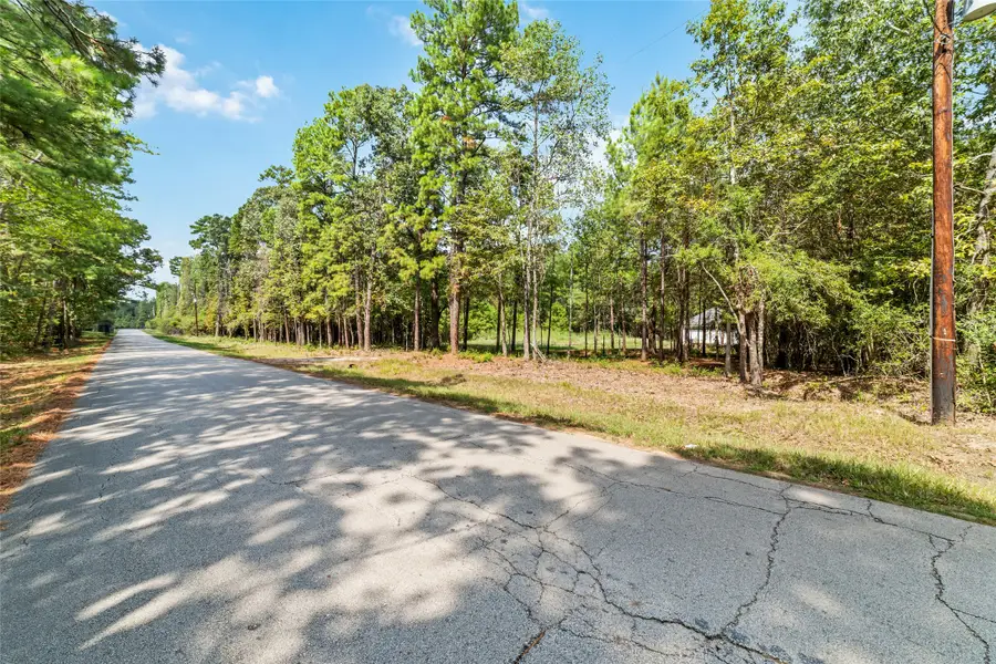 40719 Country Forest Drive, Magnolia, TX 77354 - #2