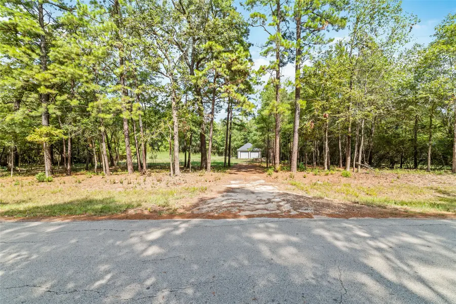 40719 Country Forest Drive, Magnolia, TX 77354 - #3