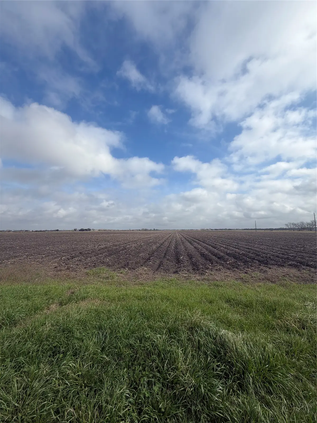 0 Zaruba Road, Sealy, TX 77474 - #1