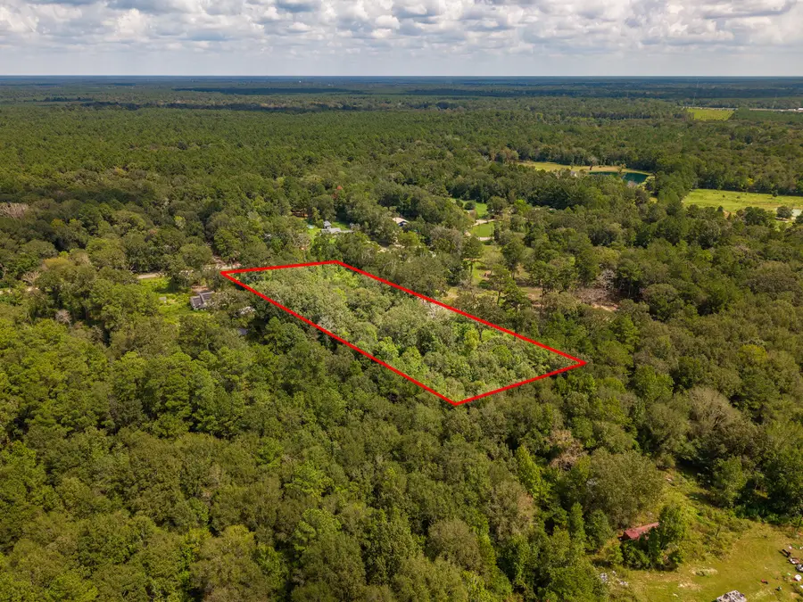 TBD Oak Fork Drive, Shepherd, TX 77371 - #2