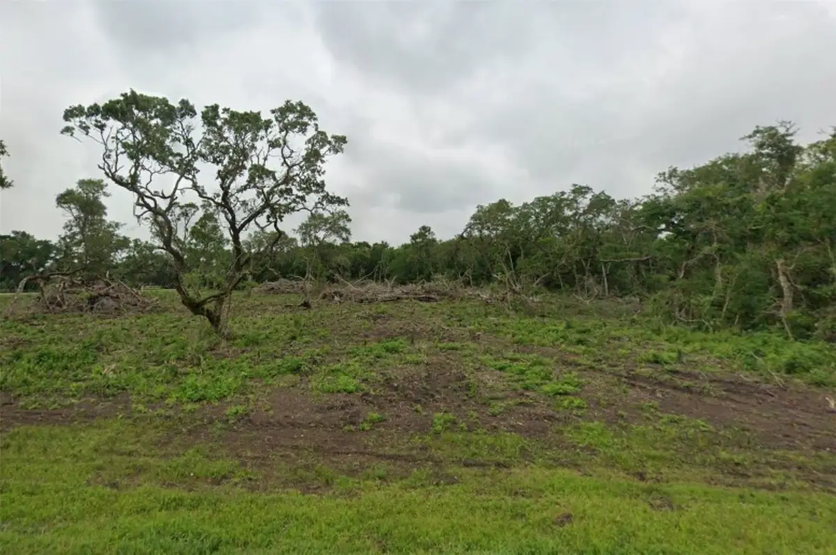 Lot 5 County Road 819, Brazoria, TX 77422 - Image #1