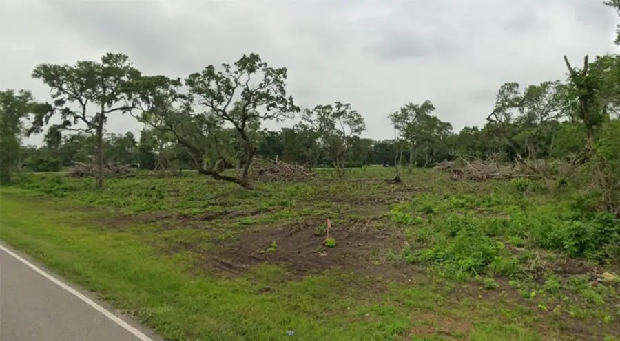 Lot 5 County Road 819, Brazoria, TX 77422 - Image #3
