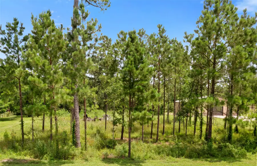 7203 Bayou Timbers Drive, Alvin, TX 77511 - Image #2