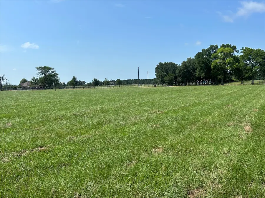 38645 Wiggins Road, Hempstead, TX 77445 - Image #3