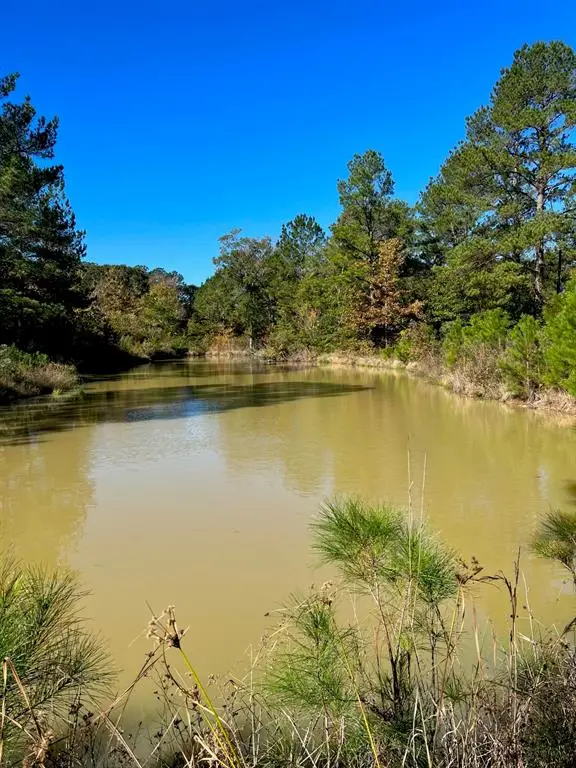 31517 Bohlssen Road, New Caney, TX 77357 - Image #1