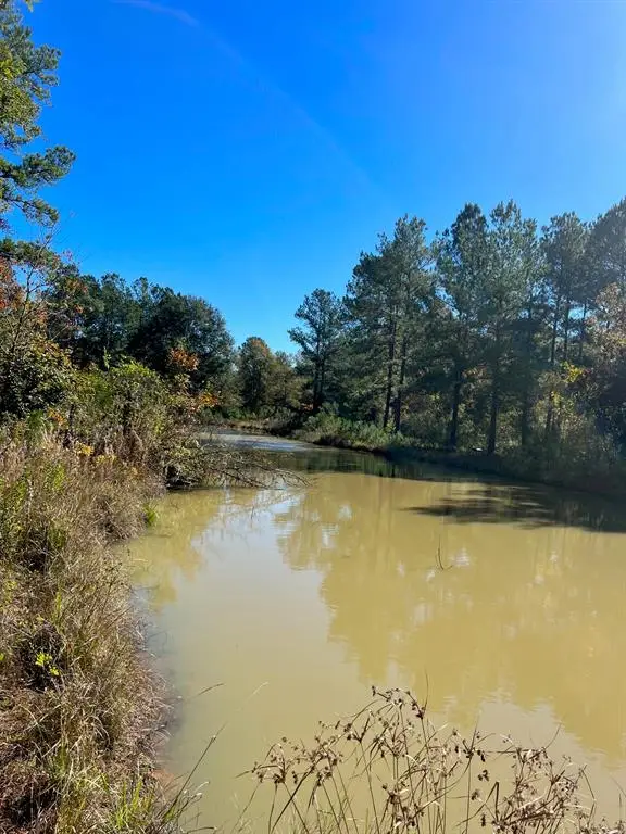 31517 Bohlssen Road, New Caney, TX 77357 - Image #2