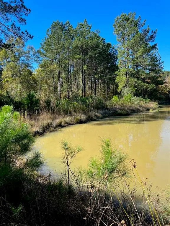 31517 Bohlssen Road, New Caney, TX 77357 - Image #3