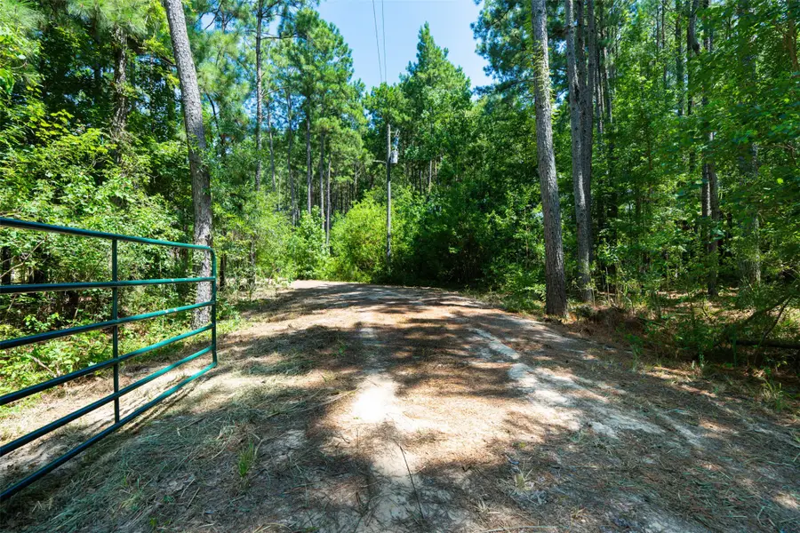 801 Pelican Road, Shepherd, TX 77371 - #3