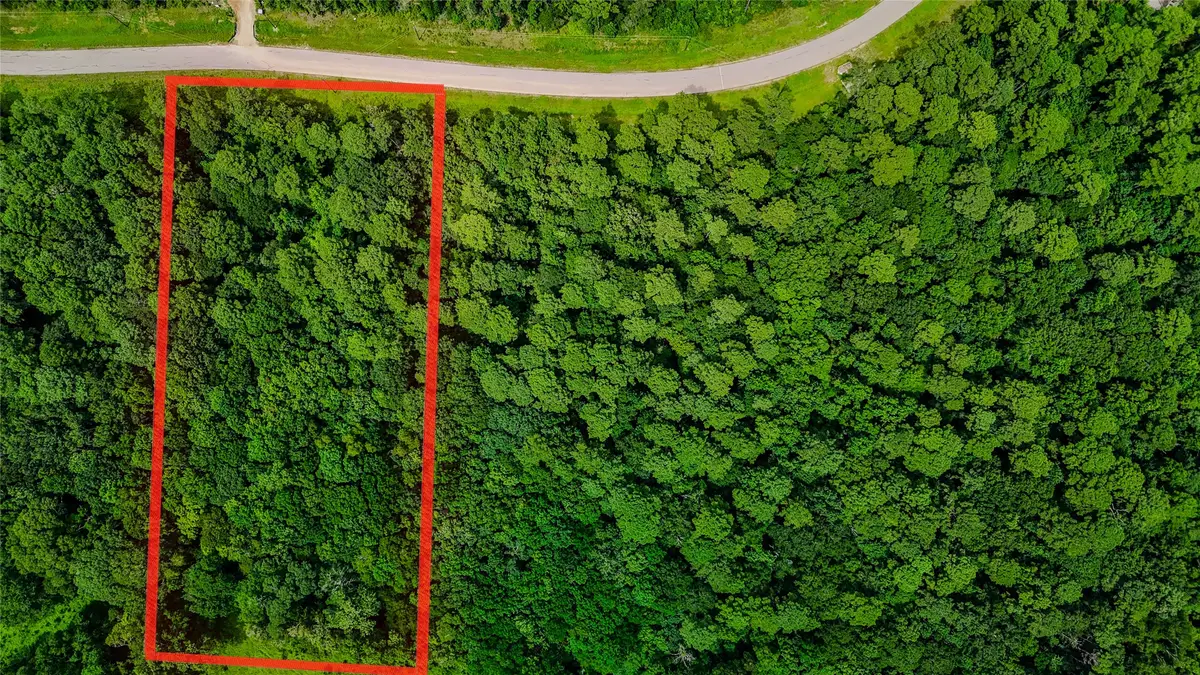 LOT 24 Sandpiper Drive, Huntsville, TX 77358 - Image #1